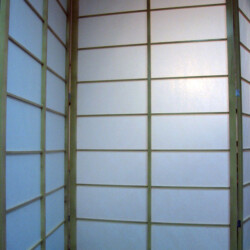 Japanski Paravani