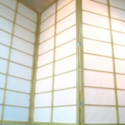 Japanski Paravani