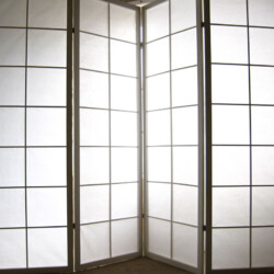 Japanski Paravani
