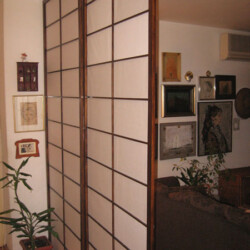 Japanski Paravani
