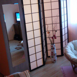 Japanski Paravani