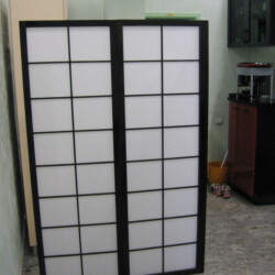 Japanski Paravani