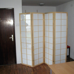 Japanski Paravani