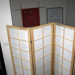 Japanski Paravani