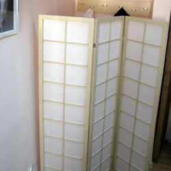 Japanski Paravani