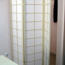 Japanski Paravani
